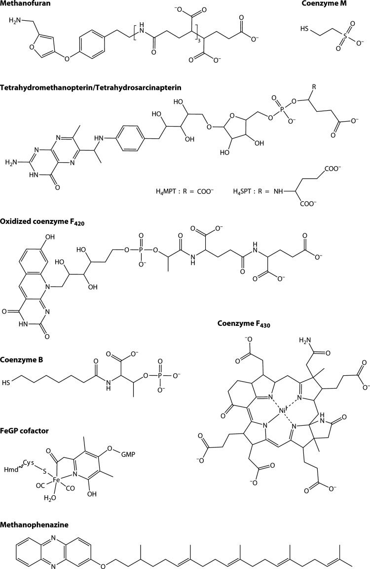 FIG 2