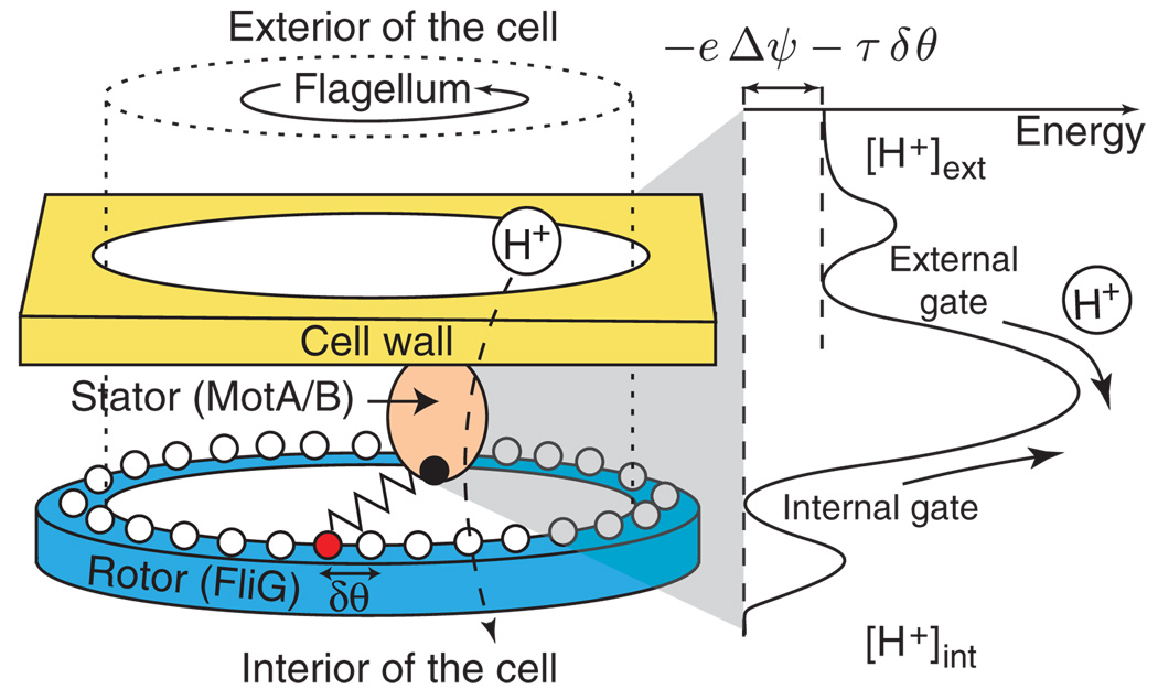 FIG. 1