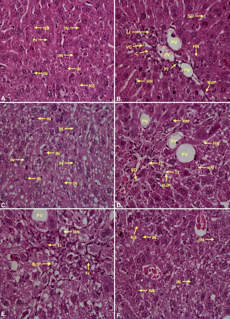 Fig 11