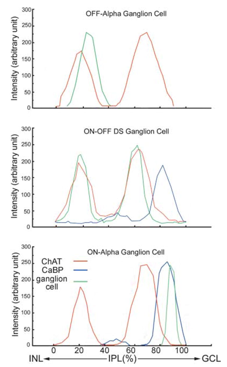 Fig. 6