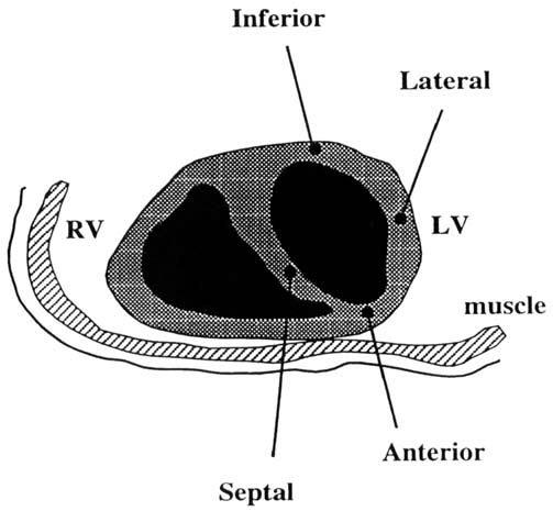 FIG. 7