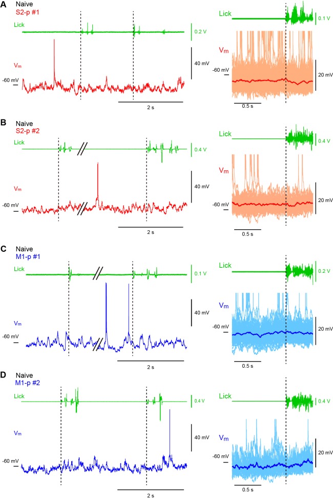 Figure 3—figure supplement 2.