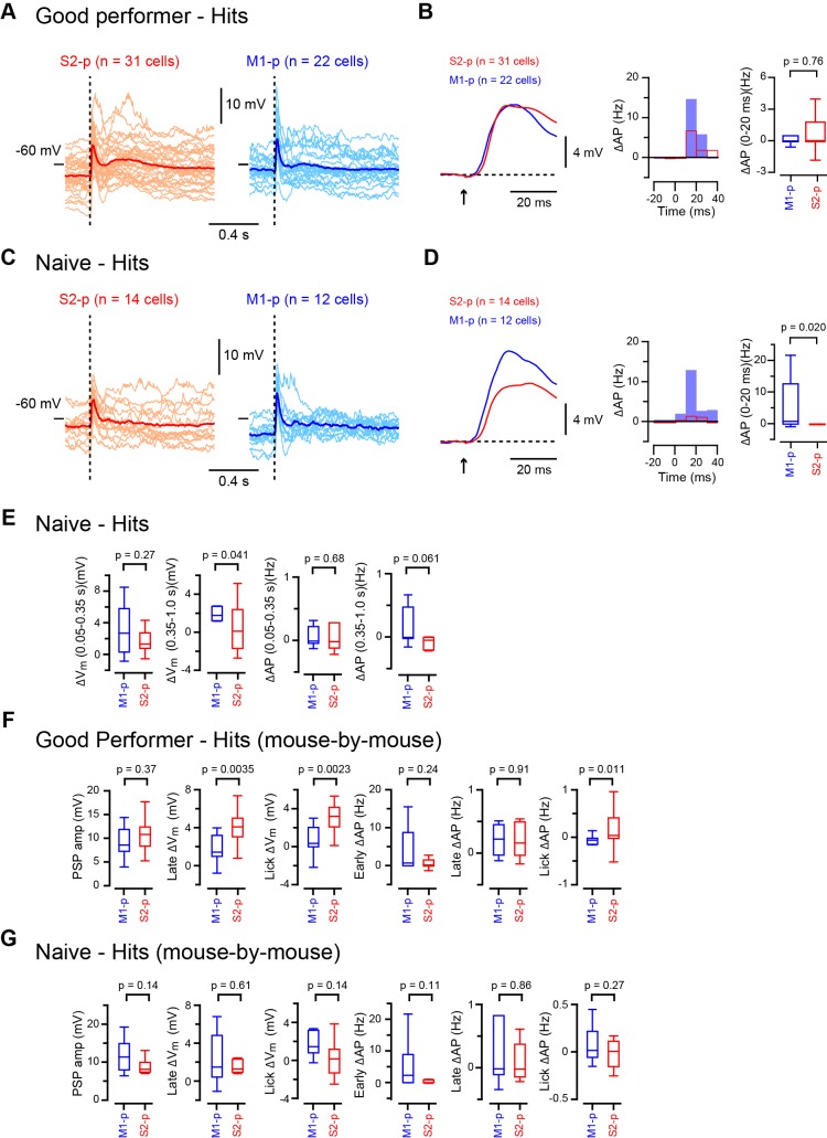 Figure 1—figure supplement 3.