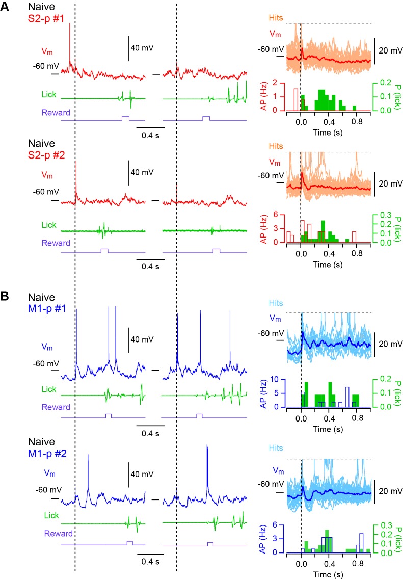 Figure 1—figure supplement 2.