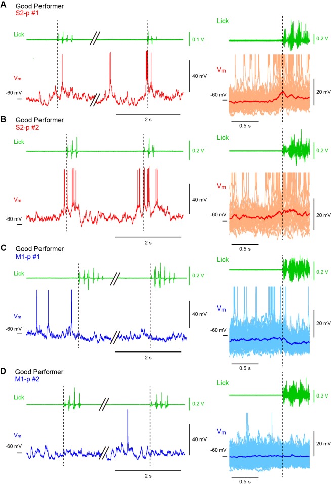 Figure 3—figure supplement 1.