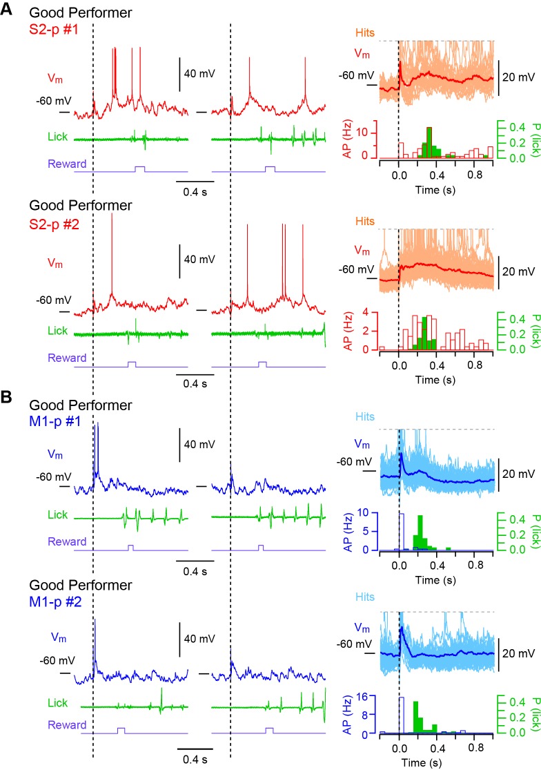 Figure 1—figure supplement 1.