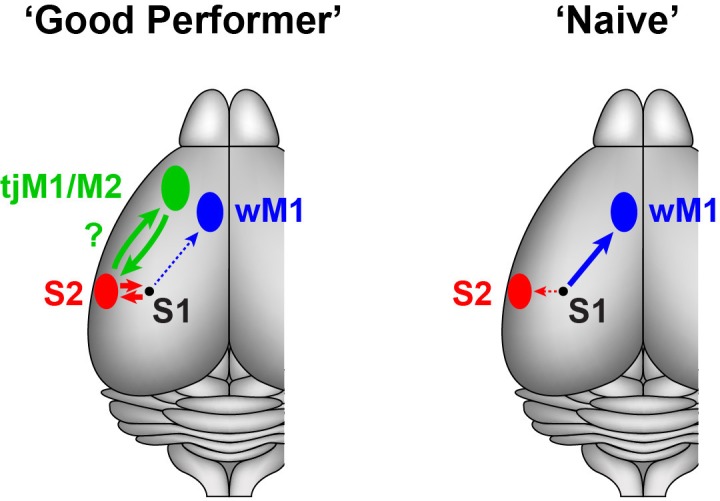 Figure 4.