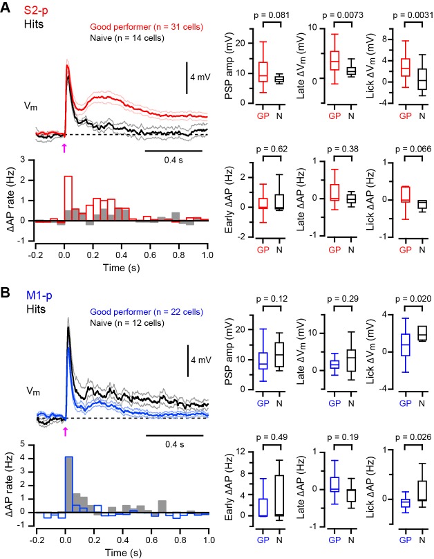 Figure 1—figure supplement 4.