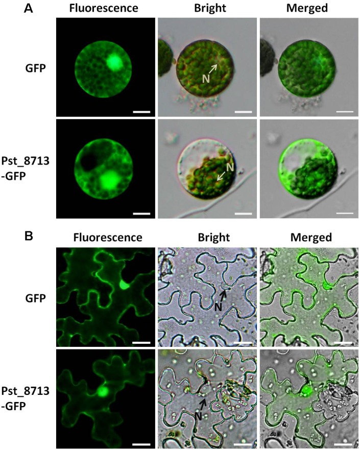 FIGURE 3