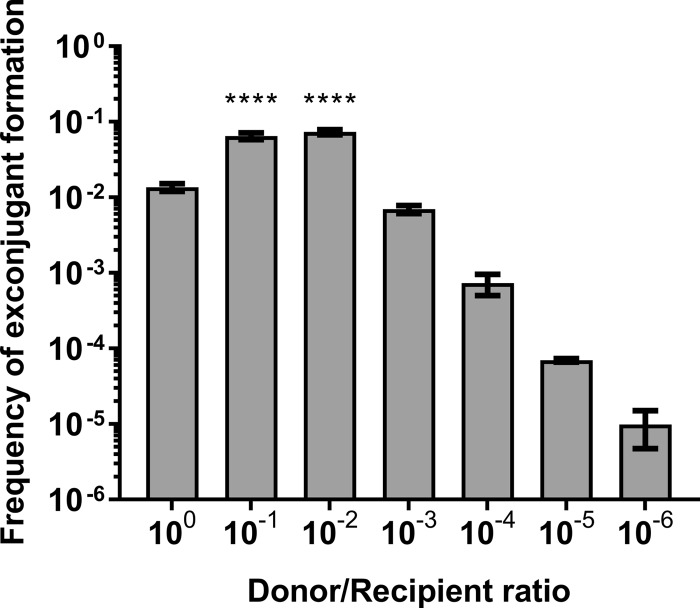 FIG 2