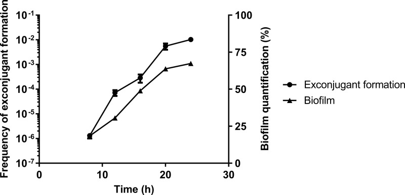 FIG 3