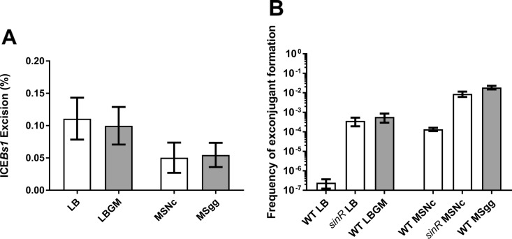 FIG 4