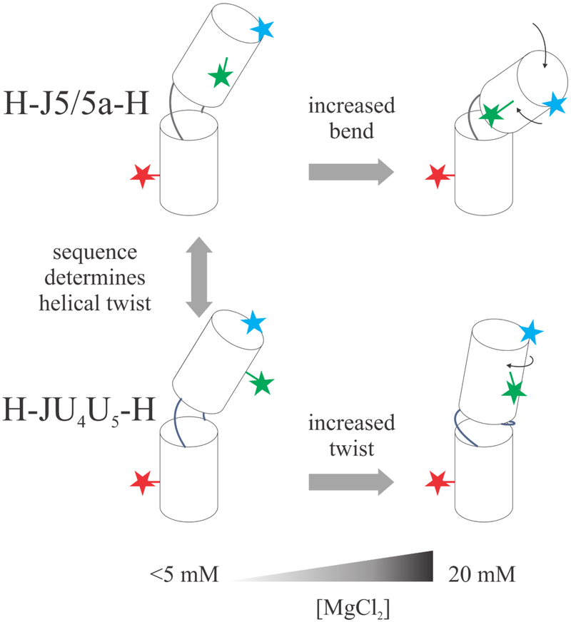 Figure 6: