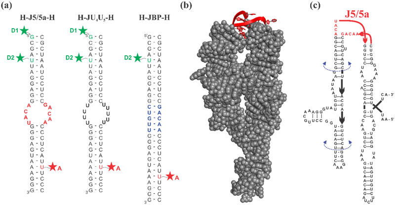 Figure 1: