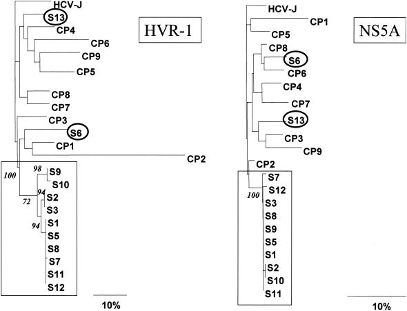 FIG. 1.