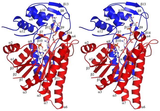 Figure 5