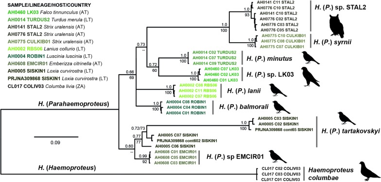 Fig. 3