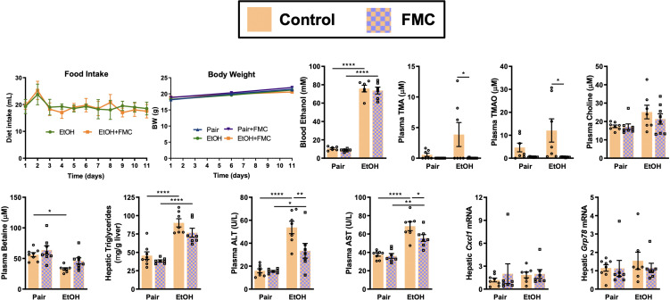 Figure 3—figure supplement 1.