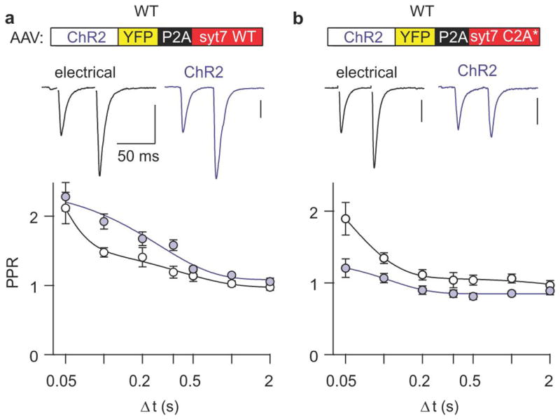 Extended Data Figure 7