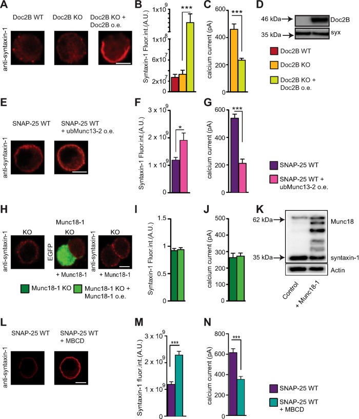 FIGURE 6: