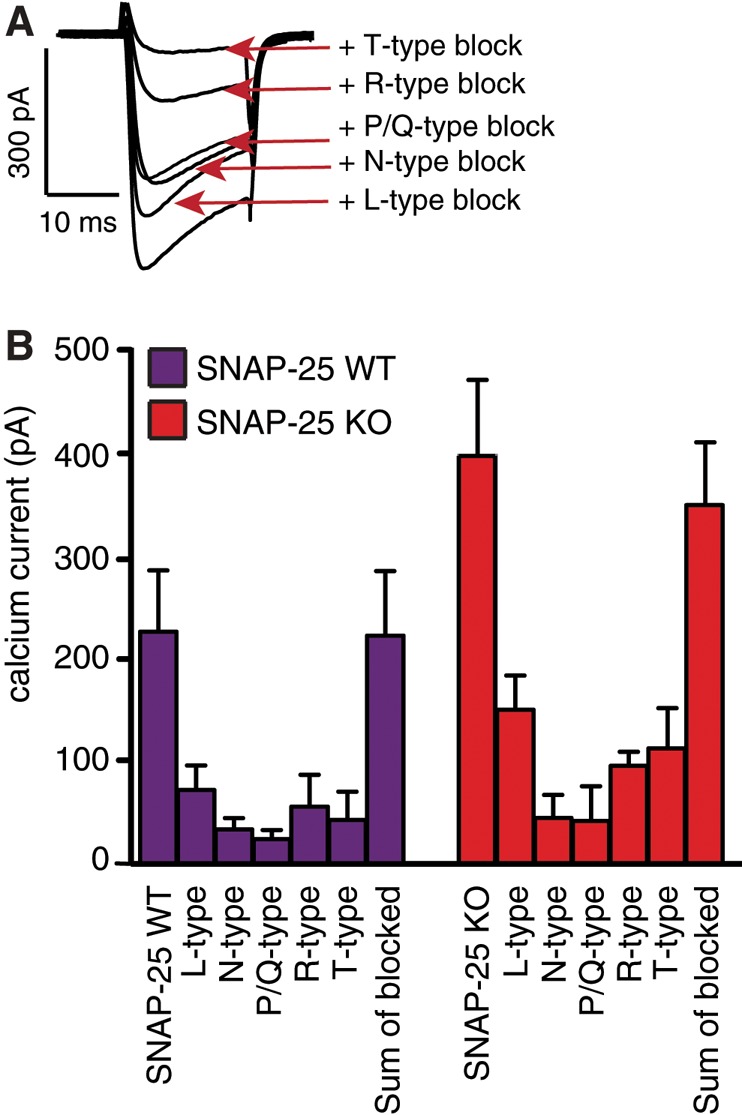 FIGURE 3: