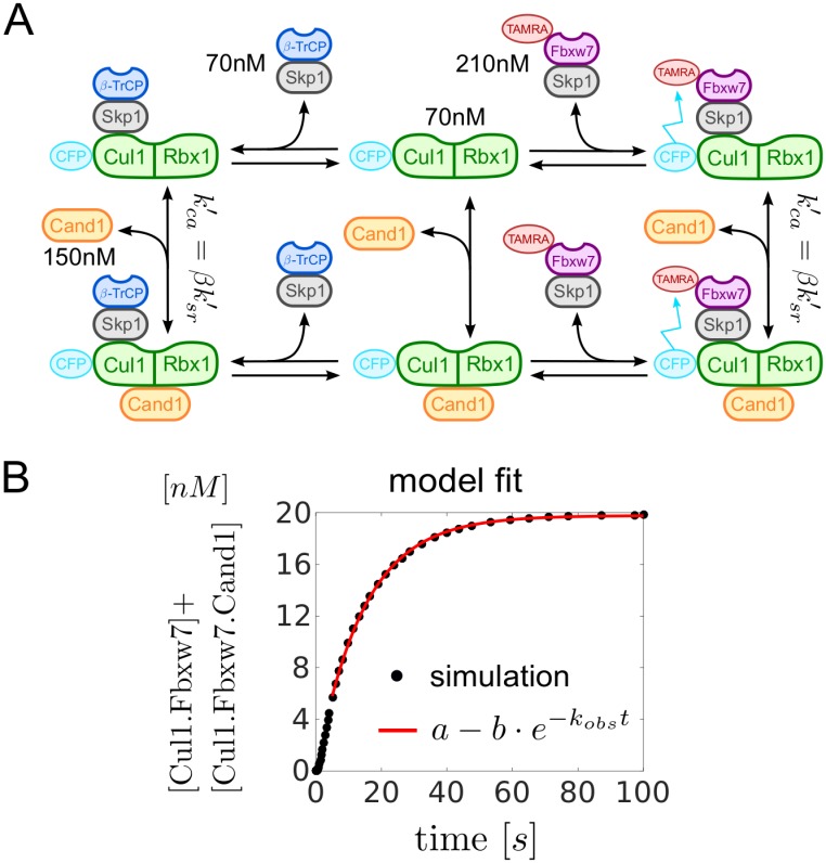 Fig 8