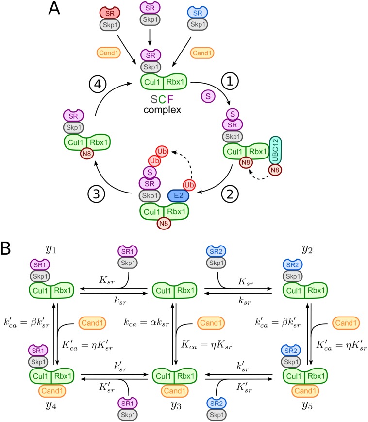 Fig 1