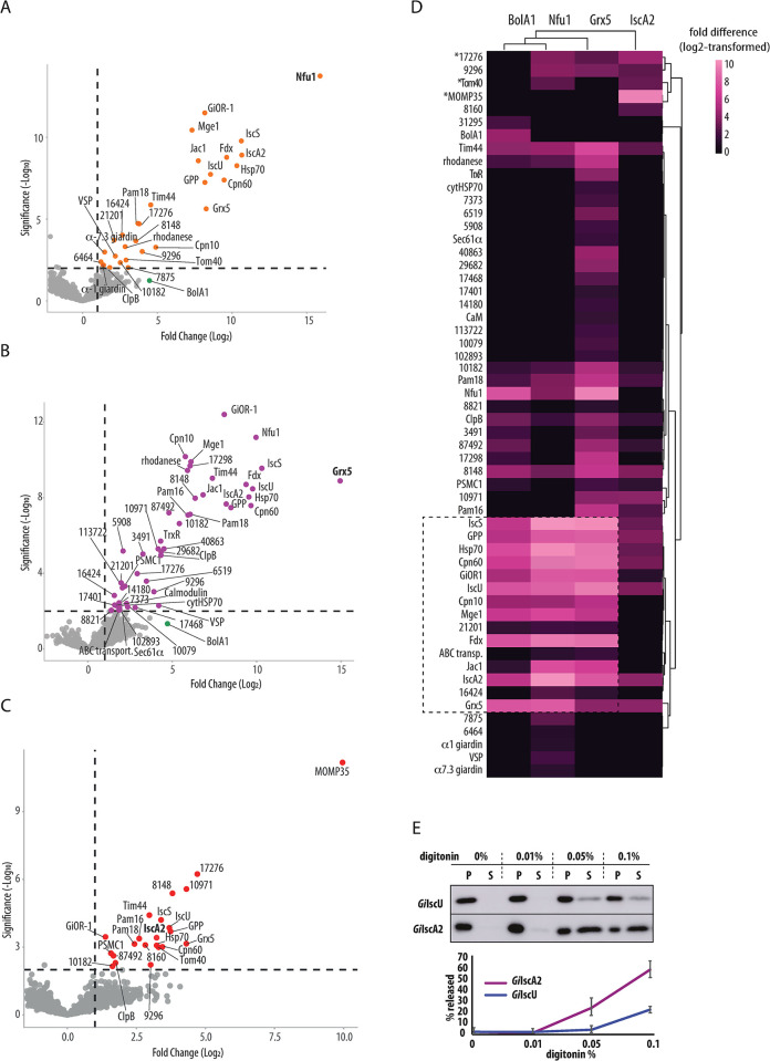 Fig 4