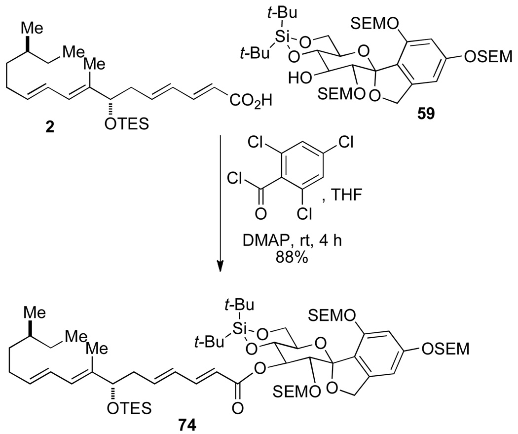 Scheme 18