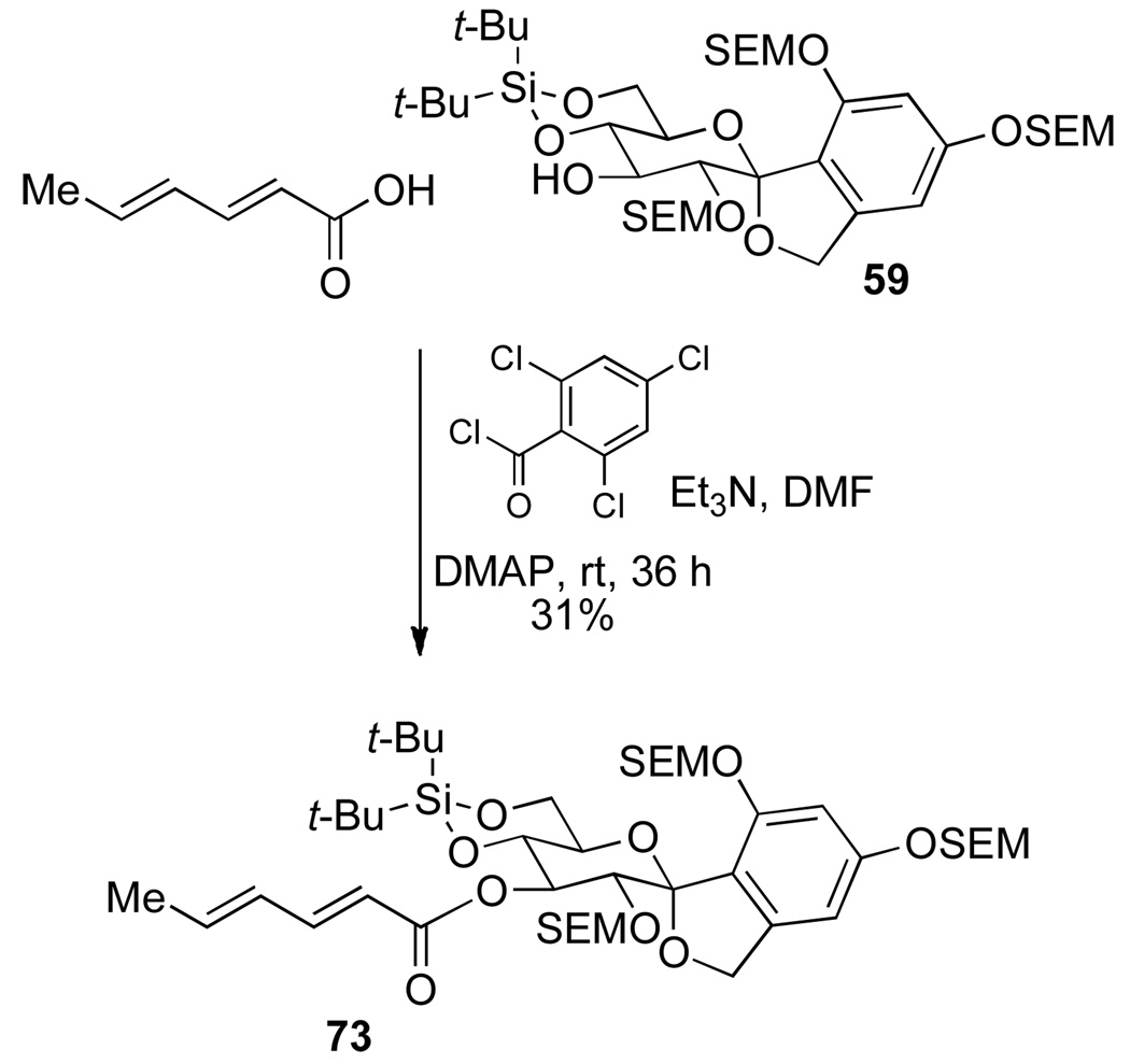 Scheme 17