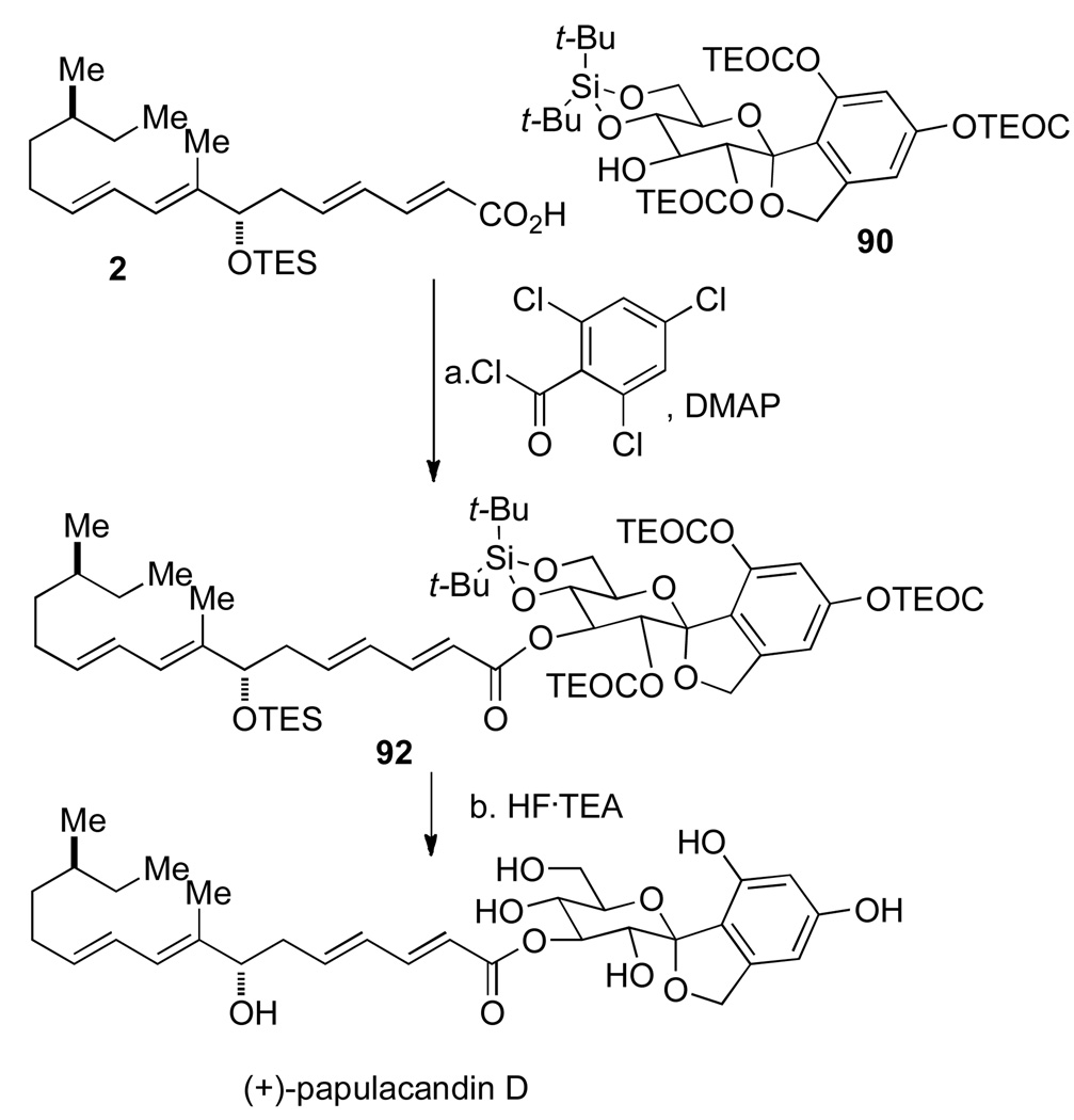 Scheme 24a