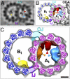 Fig. P1.