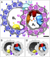 Fig. 2.