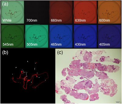 FIGURE 3