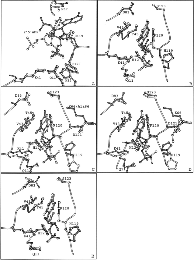 Figure 3.