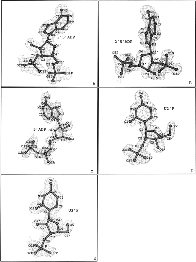 Figure 1.