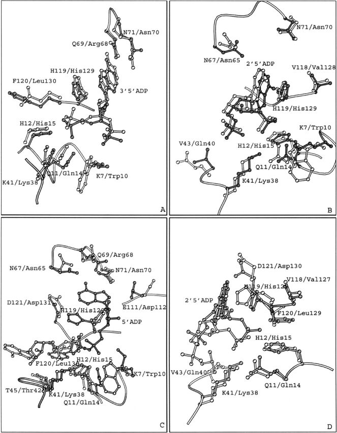 Figure 4.