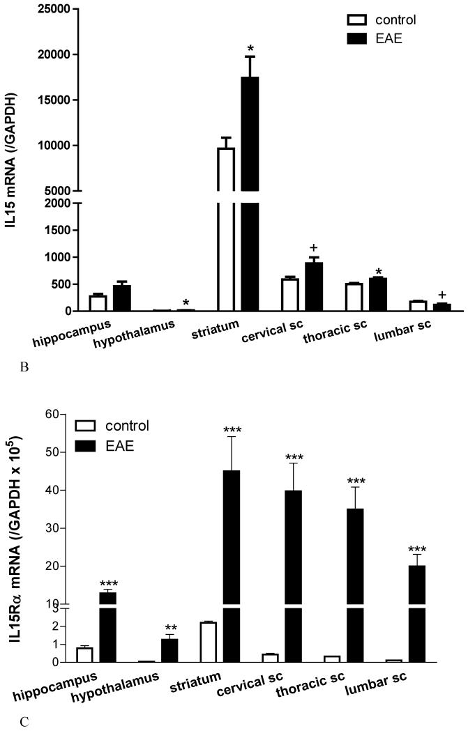 Fig.3