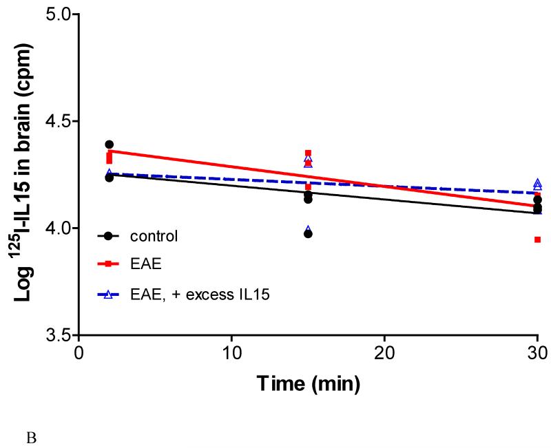 Fig.7