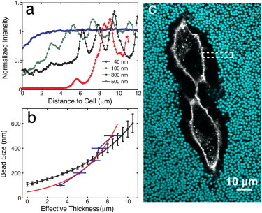 Figure 6