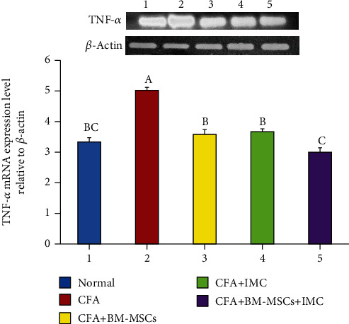 Figure 5