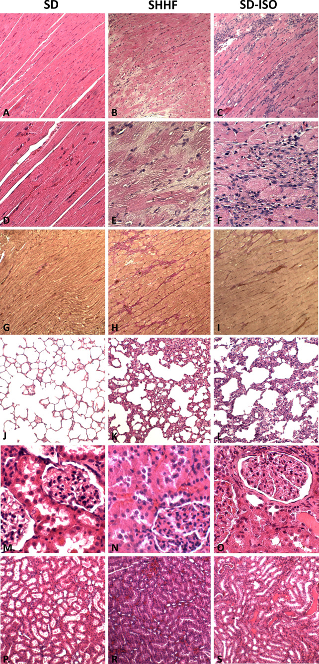 Figure 3—figure supplement 1.