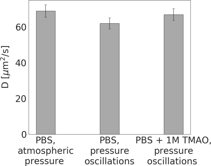 Figure 10—figure supplement 1.