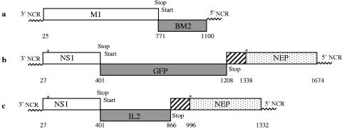 FIG. 1.