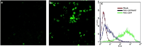 FIG. 2.