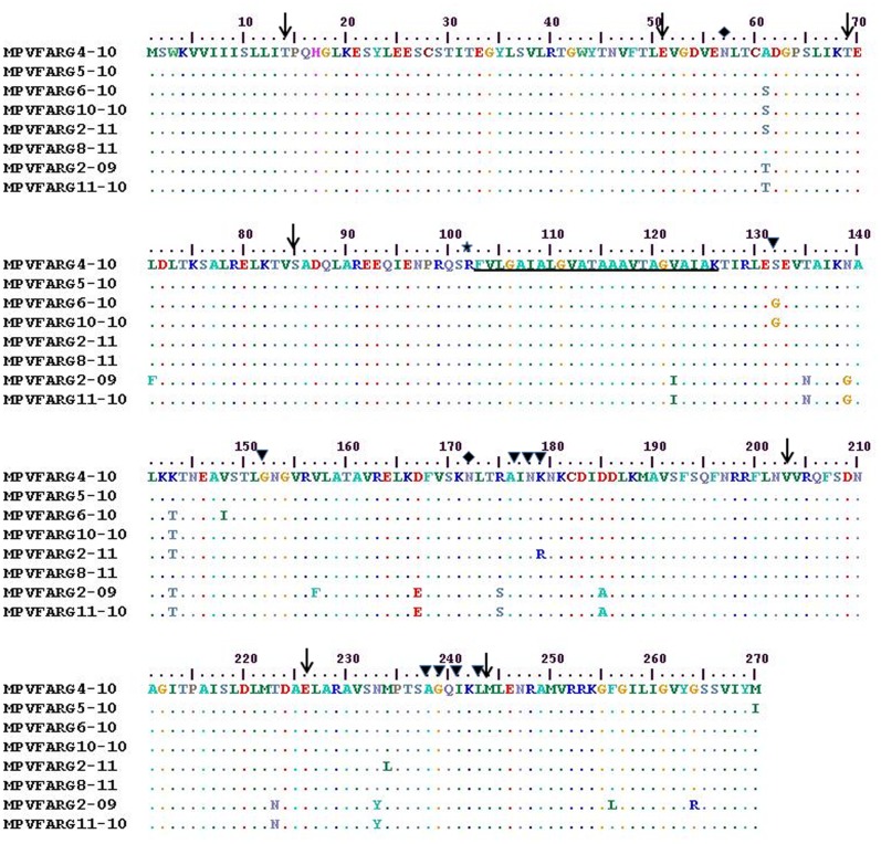 Figure 6