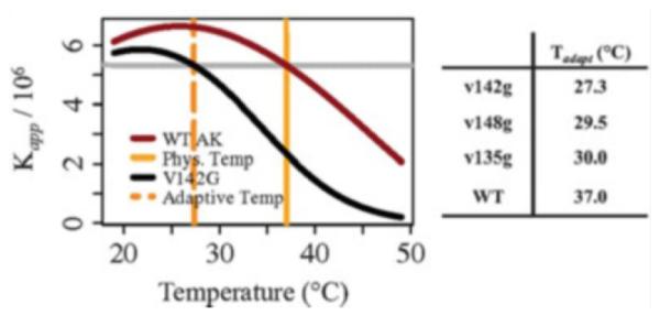 Fig. 11