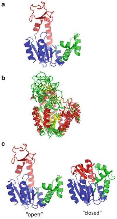 Fig. 1