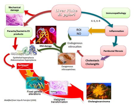 graphic file with name nihms835854u1.jpg