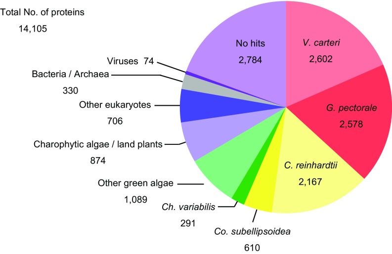 Fig. S1.